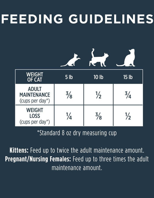 Load image into Gallery viewer, Raw Boost Grain Free Dry Cat Food, High Protein Kibble + Freeze Dried Raw Cat Food
