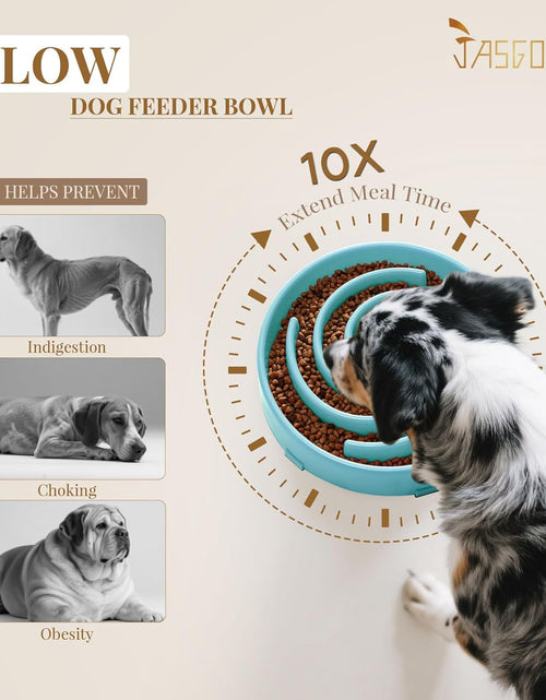 Load image into Gallery viewer, Slow Feeder Dogs Bowl for Large Dogs,Anti-Gulping Pet Slower Food Feeding Bowls Stop Bloat,Preventing Choking Healthy Design Dogs Bowl
